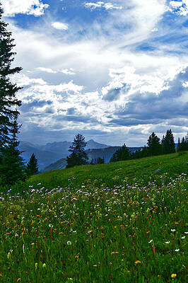 Wall Art - Photograph - July Fields by Jeremy Rhoades