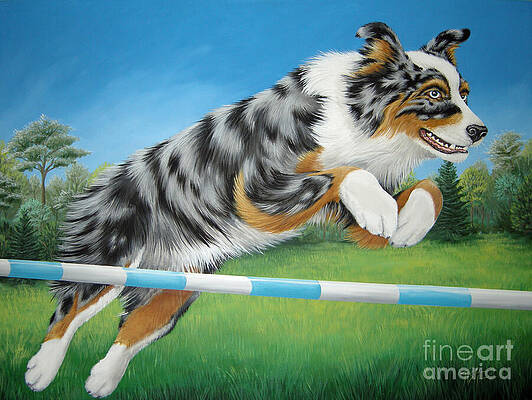 Jumping Aussie by Tish Wynne Jumping Aussie by Tish Wynne