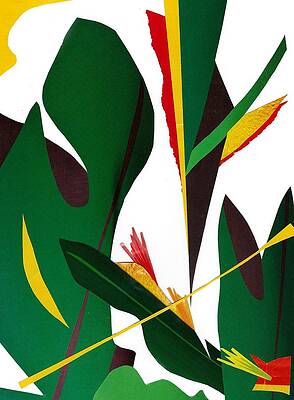Jungle Garden by Barbara Bennett Jungle Garden by Barbara Bennett