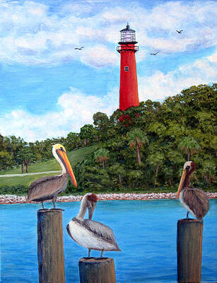 Jupiter Inlet Pelicans by Fran Brooks Jupiter Inlet Pelicans by Fran Brooks
