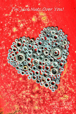 Just A Nut At Heart by Sarah Schroder Just A Nut At Heart by Sarah Schroder