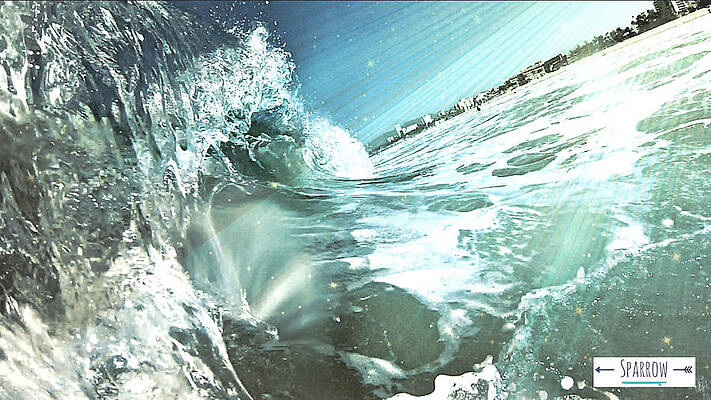 K a i l a n i by Joel Sparrow
