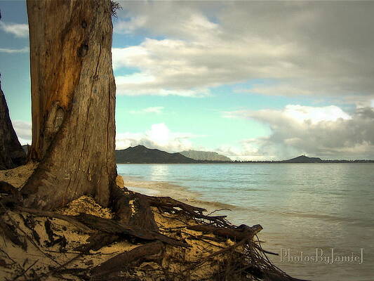 Kailua Beach by Jamie Johnson Kailua Beach by Jamie Johnson