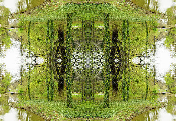 Kaleidoscope Ivy Trees Print by Silvia Otte
