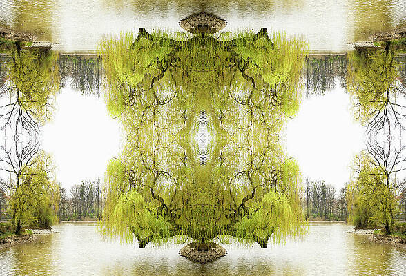 Kaleidoscope Tree On Pond Print by Silvia Otte