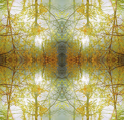 Kaleidoscope Trees With Leaves Print by Silvia Otte