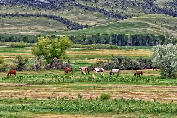 K G Ranch by Michael Pickett K G Ranch by Michael Pickett