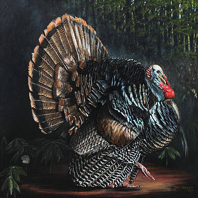 Wild Turkey in Forest Print