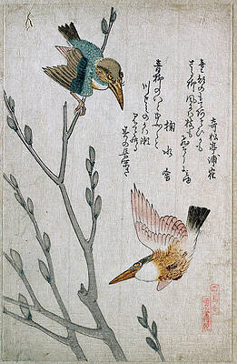 Kingfishers and Pussy-willow Print by Kubo Shunman