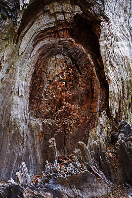 Wall Art - Photograph - Knot What You Think by Bill Swartwout