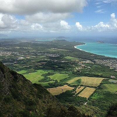 Wall Art - Photograph - Koolau Summit Trail In Progress by Brian Governale