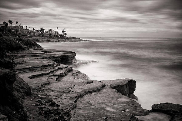 La Jolla Cliffs by Tanya Harrison La Jolla Cliffs by Tanya Harrison