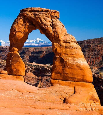 La Sal Mtns Through Delicate Arch 01 Arches National Park by Dan Hartford La Sal Mtns Through Delicate Arch 01 Arches National Park by Dan Hartford
