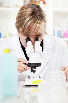 Wall Art - Photograph - Lab Technician Using A Microscope by Science Photo Library