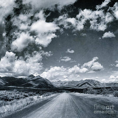 Wall Art - Photograph - Land Shapes 25 by Priska Wettstein