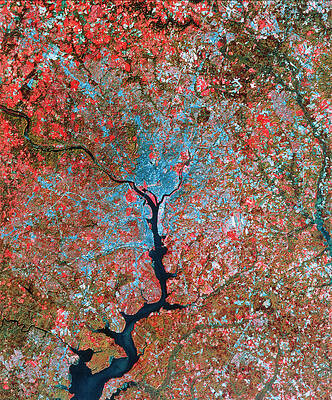 Wall Art - Photograph - Landsat Image Of Washington D.c. by Science Photo Library