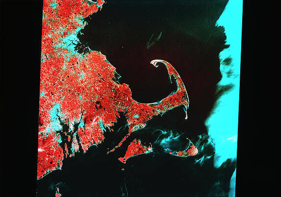 Wall Art - Photograph - Landsat Infrared Image Of Cape Cod by Science Photo Library
