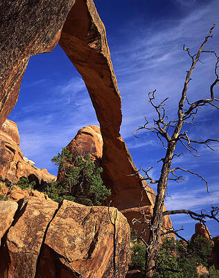 Wall Art - Photograph - Landscape Arch from Below by Ray Mathis