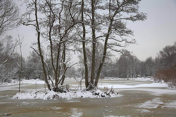 Landscape. by IMAVIEW Photo and Design Landscape. by IMAVIEW Photo and Design