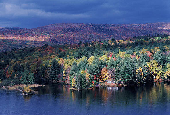 Wall Art - Photograph - Large Number Of Colorful Trees Seen by Jose Azel