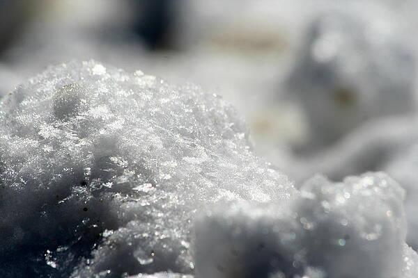 Large Snow Flakes by Dr Carolyn Reinhart Large Snow Flakes by Dr Carolyn Reinhart