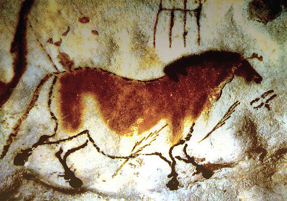 Lascaux Horse - version 2 by Asok Mukhopadhyay Lascaux Horse - version 2 by Asok Mukhopadhyay