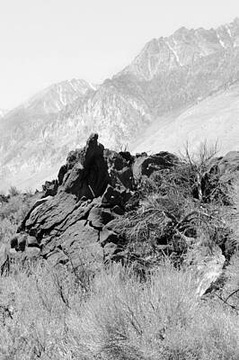 Lava-White Mountains II by Harold E McCray Lava-White Mountains II by Harold E McCray