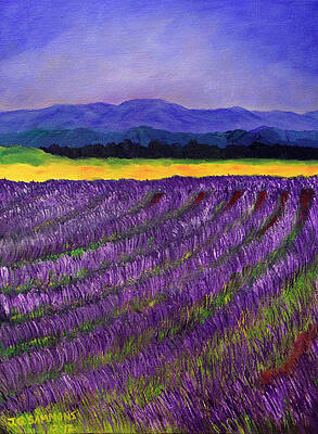 Lavender Fields by Janet Greer Sammons Lavender Fields by Janet Greer Sammons
