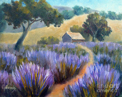 Lavender Path by Carolyn Jarvis Lavender Path by Carolyn Jarvis