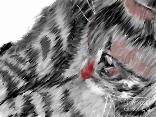Laying Cat by Miroslav Tyl