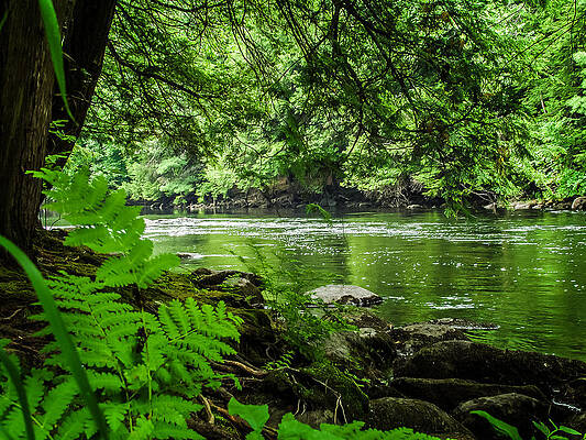 Wall Art - Photograph - Lazy afternoon on the Schroon River by Louis Dallara