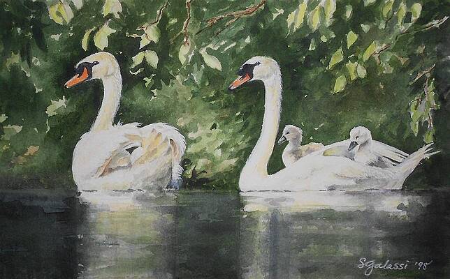 Lazy Afternoon by Susan Galassi