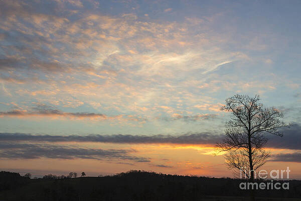 Wall Art - Photograph - Lazy Day by Michael Waters