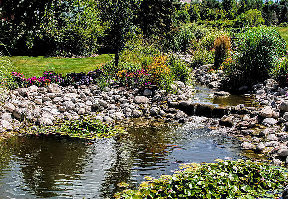 Lazy river by Tammy Espino