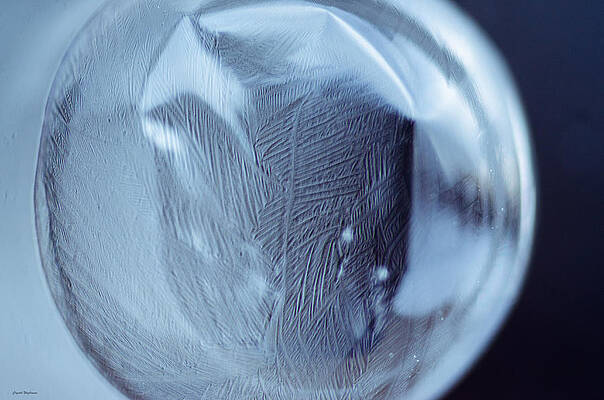 Wall Art - Photograph - Frozen Bubble Leaf Pattern by Crystal Wightman