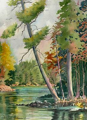 Leaning Pine by David Gilmore Leaning Pine by David Gilmore