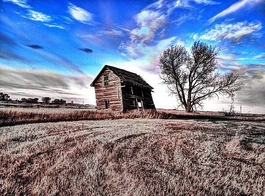 Wall Art - Photograph - Leaning shack by David Matthews