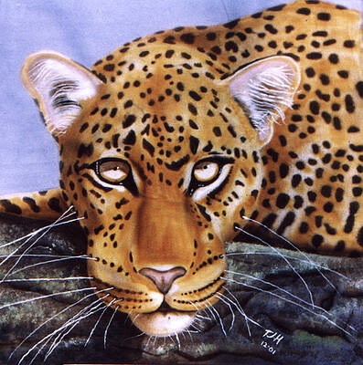 Leopard in a tree by Thomas J Herring Leopard in a tree by Thomas J Herring