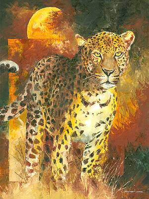 African wildlife leopard by Christiaan Bekker African wildlife leopard by Christiaan Bekker