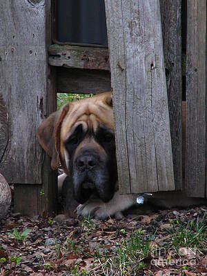 Lets Play by Greg Patzer Lets Play by Greg Patzer