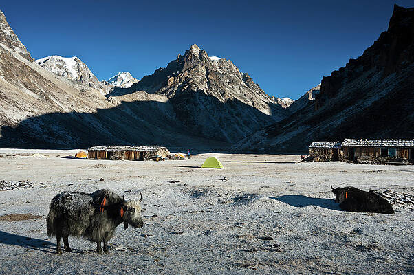 Wall Art - Photograph - Lhonak Camp At 4750 M by Ducoin David