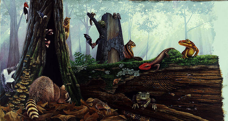 Wall Art - Painting - Life In A Dead Tree by Chase Studio