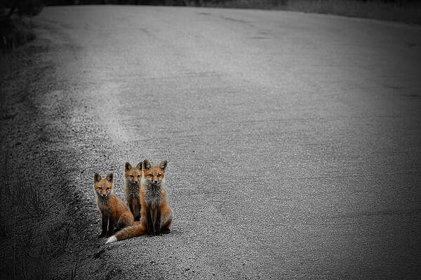 Life is an Unknown Highway by Jim Garrison Life is an Unknown Highway by Jim Garrison