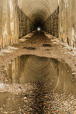 Light at the End of the Tunnel by Sue Smith Light at the End of the Tunnel by Sue Smith