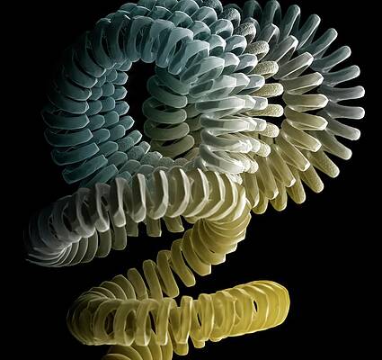 Wall Art - Photograph - Light Bulb Filament by Science Photo Library