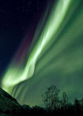 Wall Art - Photograph - Light in the Sky by Dave Bowman