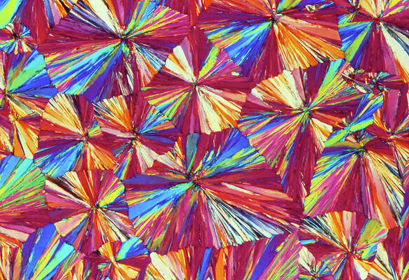 Wall Art - Photograph - Light Micrograph Of Aspirin Crystals by Sinclair Stammers.