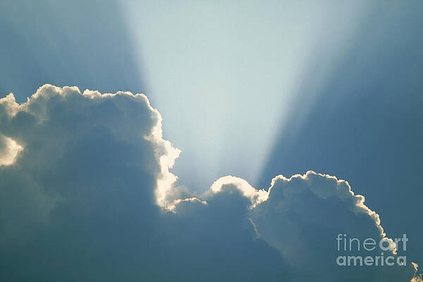 Wall Art - Photograph - Light Rays by David Davis