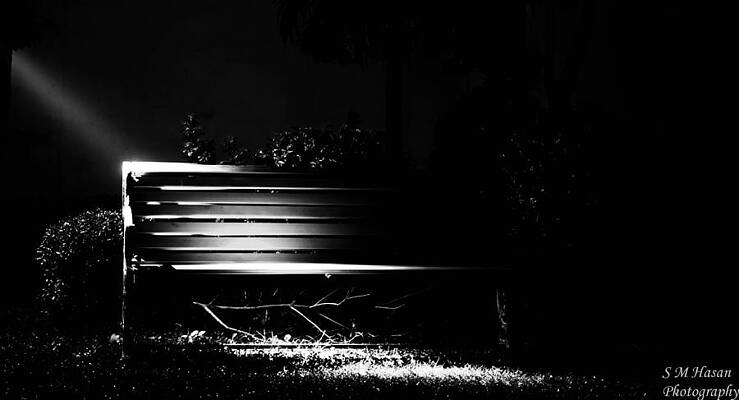 Light by S M  Hasan 