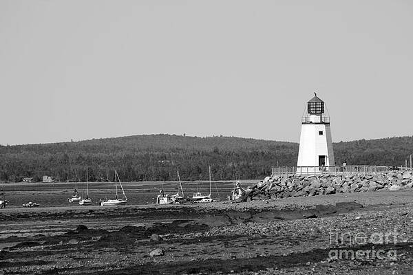 Lighthouse in St. Andrews - BW by Tabitha Little
